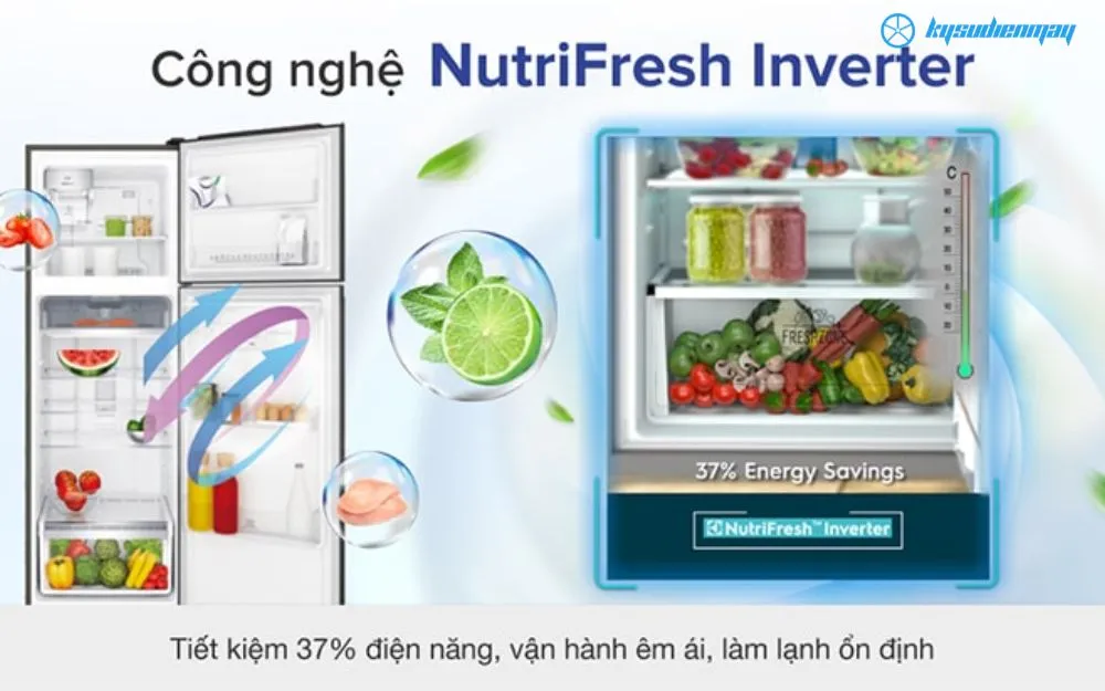 tủ lạnh electrolux của nước nào sử dụng công nghệ Even Temp